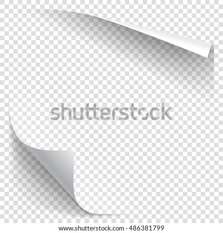 White gradient paper curl with shadow isolated on transparent background. Vector sticker paper note for memo and notice. Vector template illustration for your design