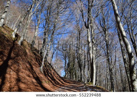 The way for walking to La Cascade de Vaucoux ou d'Anglard at  Besse-et-Saint-Anastaise .Puy de Dôme - France Stock fotó © 