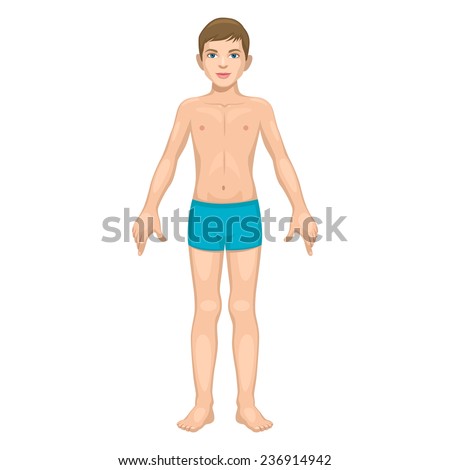 Boy Body Part Stock Vector 236914942 : Shutterstock