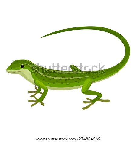 Lizard Stock Vector 274864565 : Shutterstock