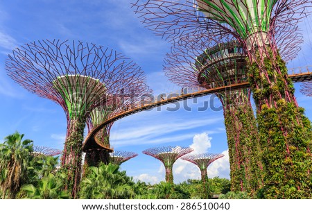 SINGAPORE-JUNE ,12: Day view of The Super tree Grove at Gardens by the Bay  Where five-minute walk from Bay front MRT Station. SINGAPORE JUNE,12 2015