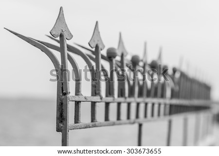 Iron fence close up in black and white