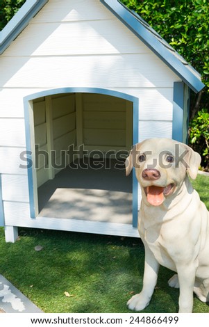 image of dog outside the dog house