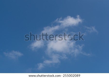 cloud Fox face, sunny day, sunshine, blue skies, white clouds