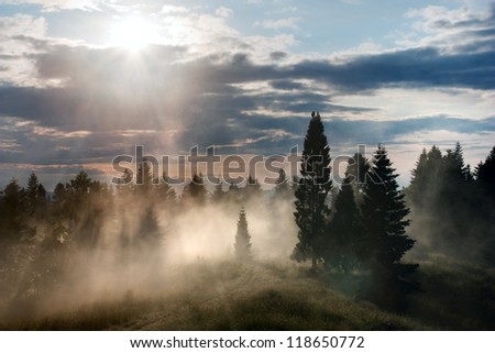 beautiful view of forest with fog and sky with clouds and sun