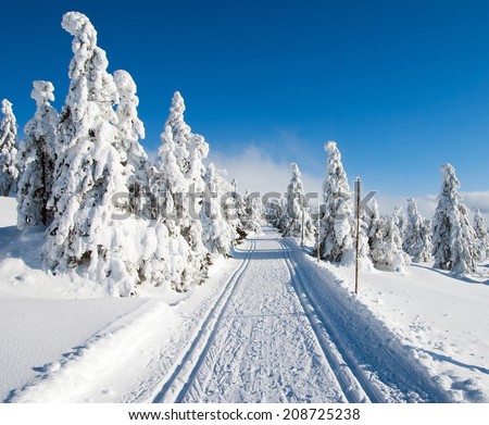 wintry landscape scenery with modified cross country skiing way