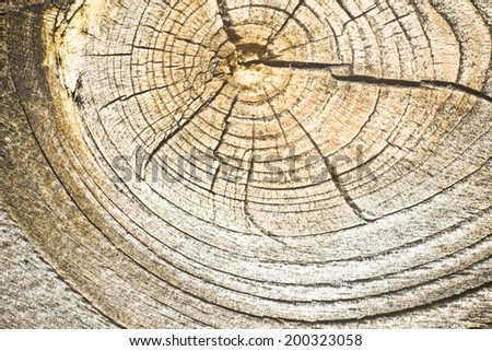 Wood knot texture.