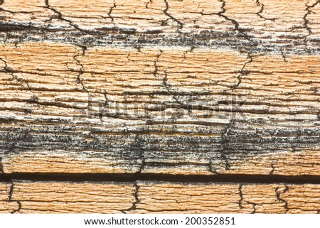 Aged wood texture.