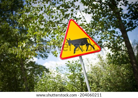 Cows on the road warning sign.