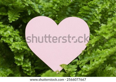 Similar – Image, Stock Photo Fern heart Nature Plant