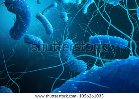 Enterobacterias Gram negativas Proteobacteria, bacteria such as salmonella, escherichia coli, yersinia pestis, klebsiella. 3D illustration Stock fotó © 