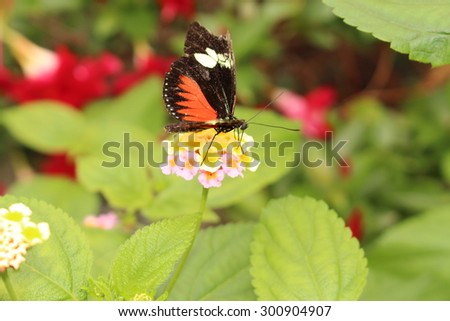 Shutterstock Puzzlepix