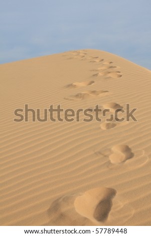 Foot steps in the desert