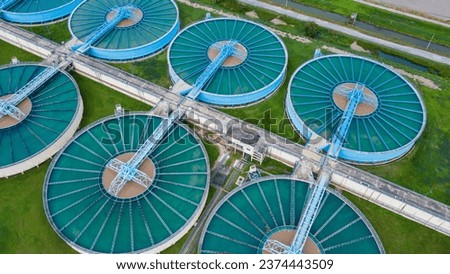 Similar – Image, Stock Photo metropolitan plant Plant