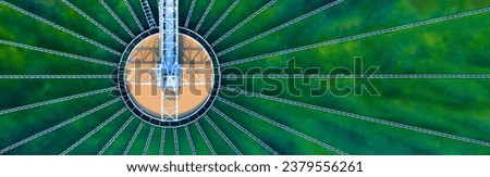 Similar – Image, Stock Photo metropolitan plant Plant