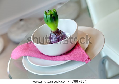 Sprouting Hyacinth bulb placed within bowl to dress a place setting on a glass table