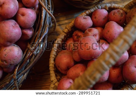 Basket full of fresh new potatoes, locally grown in Florida. Fresh produce in basket, red-skinned new potatoes, raw with skins still on.