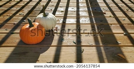 A set of two pumpkins, one orange, one white on a wooden deck with some fallen leaves and shadows of the deck railing Foto stock © 