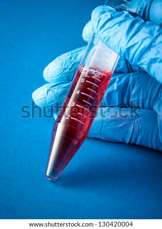 Biochemistry of blood tests. Cell culture for the biomedical diagnostic. Gloved hand hold the tube with blood analysis on blue background. Equipment of scientific lab for experiments and research.