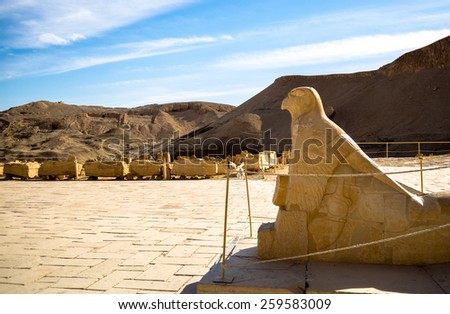 Egyptian god Chorus with a falcon\'s head - patron god of Upper Egypt. Funerary temple of Hatshepsut at Deir el-Bahri, Luxor. Architect - Senenmut.