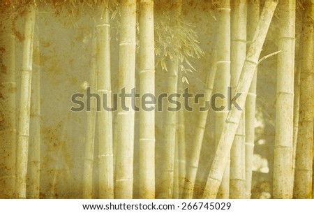 Bamboo on old grunge paper texture. Chinese old background with bamboo. Old paper with grange texture. Tropical backdrop for east concept with wooden texture in retro style.