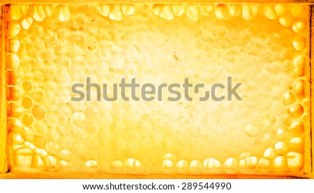 Bee Honeycomb in a frame - honey background in a grunge style. Golden honeycombs - organic bee honey closeup. Concept design of labels for organic foods with natural honey.