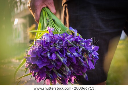 Nature, Object, boy, flowers. A bouquet of flowers, wild irises in the hands of men. Close-up, using a tone filter.
