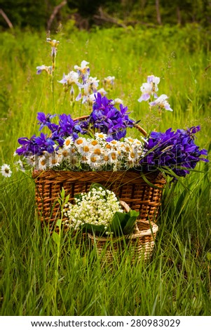 Nature, objects, flowers. Bouquet of flowers in a basket: irises, daisies, lilies of the valley, on the grass with the foreground. Without the use of a filter.