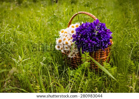 Nature, objects, flowers. Bouquet of flowers in a basket: irises, daisies, general plan. Without the use of a filter.