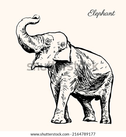 Cartoon Elephant Pictures | Free download on ClipArtMag