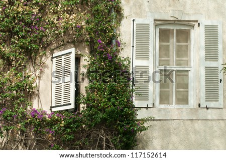 White windows and wall with green ivy. St. Tropez buildings