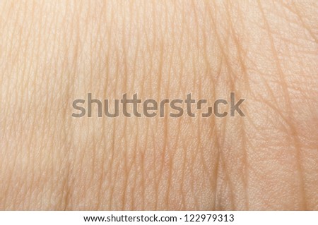 Human skin close up. Structure of Skin