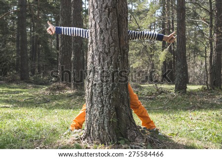 Child play in the forest hidden behind a tree