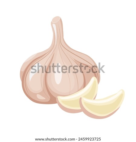 Fresh whole garlic vegetable and garlic cloves isolated on white background