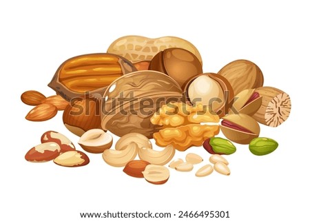 Different nuts collection includes cashew,walnuts,macadamia,brazil nut,pecan,hazelnut,peanut,pistachios,nutmeg,pine nuts,almond.	