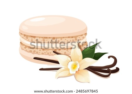 French vanilla macaron dessert with vanilla pods and fresh flower near.