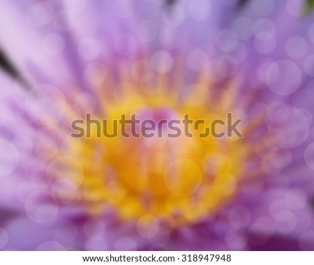 Soft focused image with lotus flower and blur bokeh background, De focused with flower and blur background, Abstract beautiful nature background