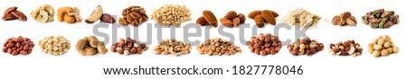 Set of Nuts Walnuts, Brazil Nut, Almond, cashew, Pine Nut peanuts, pistachios, pecans collection Isolated, Set of different delicious organic nuts on white background