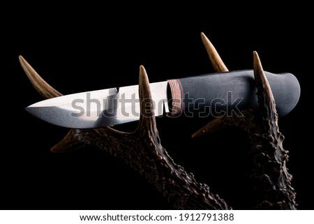 Premium knife. Legendary hunting knife. Hunting knife and antler, Hunting gear on wooden board and horns close up. Still life on a hunting theme