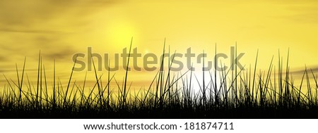 Concept or conceptual black grass or plant field or meadow silhouette in summer or spring evening over a sky at sunset with clouds background, metaphor to nature, landscape, environment or freedom