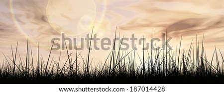 Concept or conceptual black grass or plant field or meadow silhouette in summer or spring evening over a sky at sunset with clouds background,metaphor to nature,landscape,rural,environment or freedom