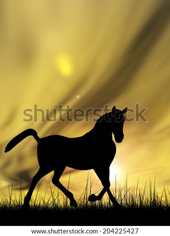 Concept or conceptual young beautiful black horse silhouette in grass or meadow over a sky at sunset landscape background, metaphor to farm, nature, wild, freedom, free, power, healthy, strong animal