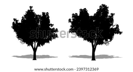 Set or collection of Honey Locust trees as a black silhouette on white background. Concept or conceptual vector for nature, planet, ecology and conservation, strength, endurance and  beauty