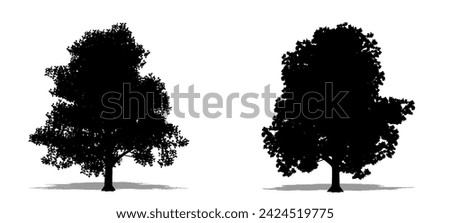 Set or collection of Granny Smith as a black silhouette on white background. Concept or conceptual vector for nature, planet, ecology and conservation, strength, endurance and  beauty