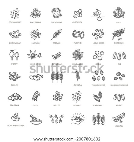 Plant seed vector icon set. Cereal grains 