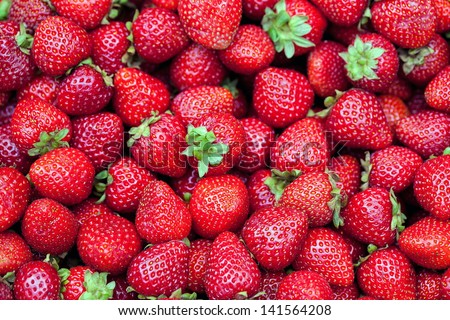Fresh strawberries  red background, ecology and nature