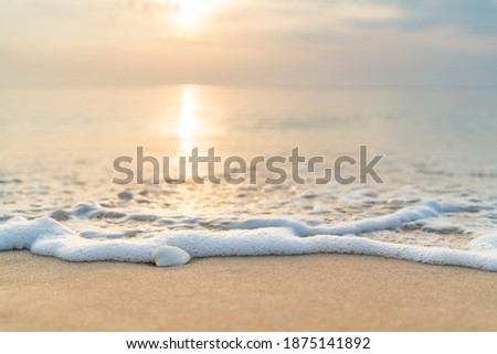 Sea shells on sand. sea waves  on the golden sand at beach