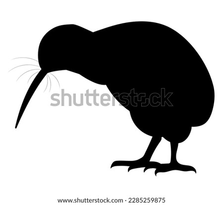 kiwi bird vector silhouette black one