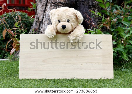 Single teddy bear on a grass and board wood for your text in the garden.