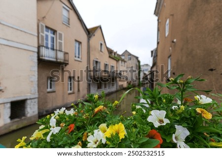 Similar – Image, Stock Photo Serene canal in old city district with aged buildings